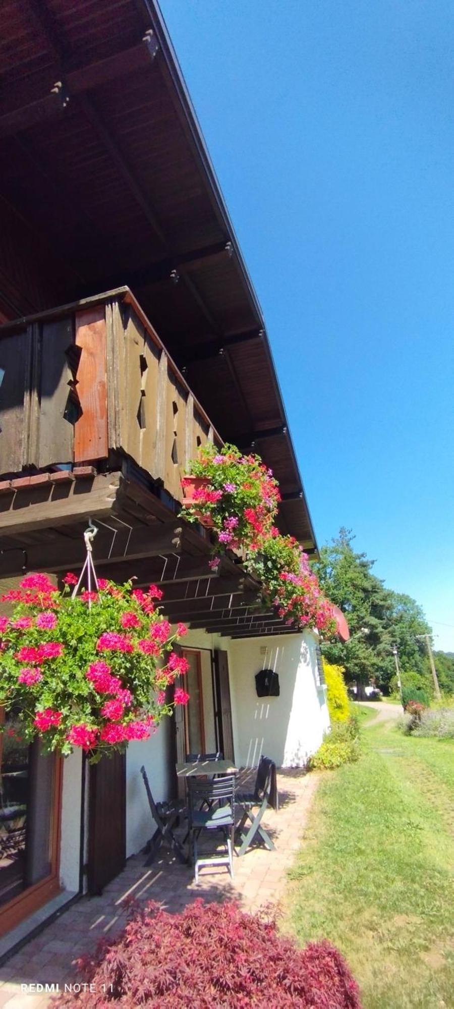 Au Bois Des Ecureuils Classe Trois Etoiles. Chalet Muhlbach-sur-Munster